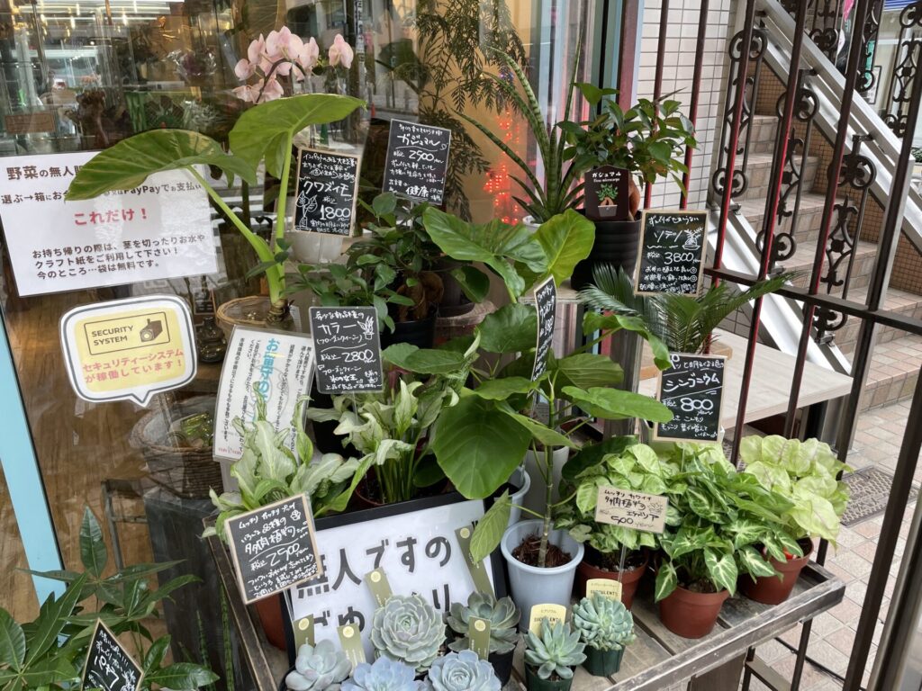 very very 町田駅前店 店頭の植物